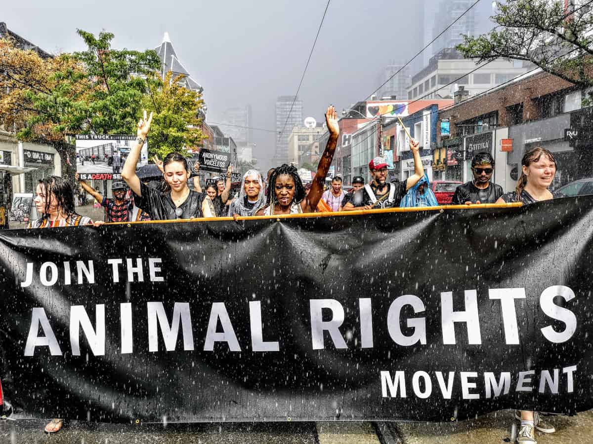 Animal Rights Toronto – Join us. Be the change.